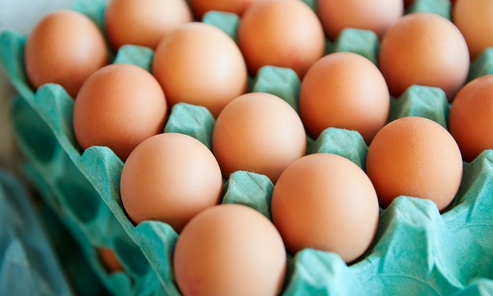 tray of eggs