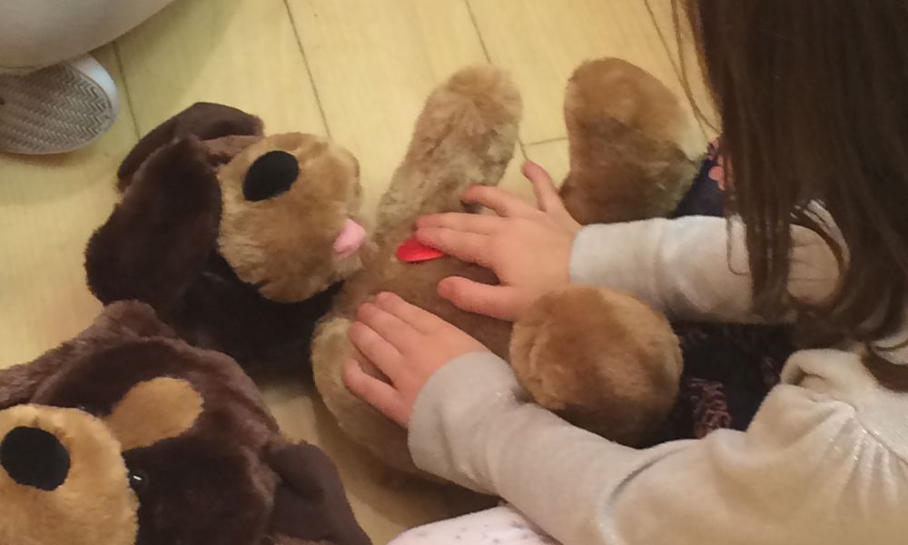 Build a Bear party