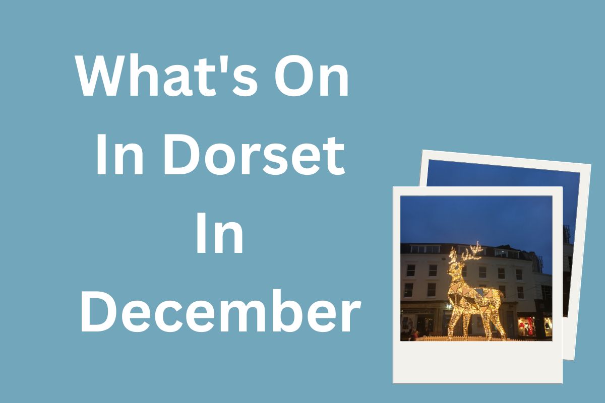 what's on in Dorset in December