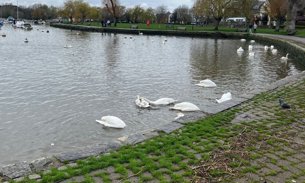 Christchurch Quay