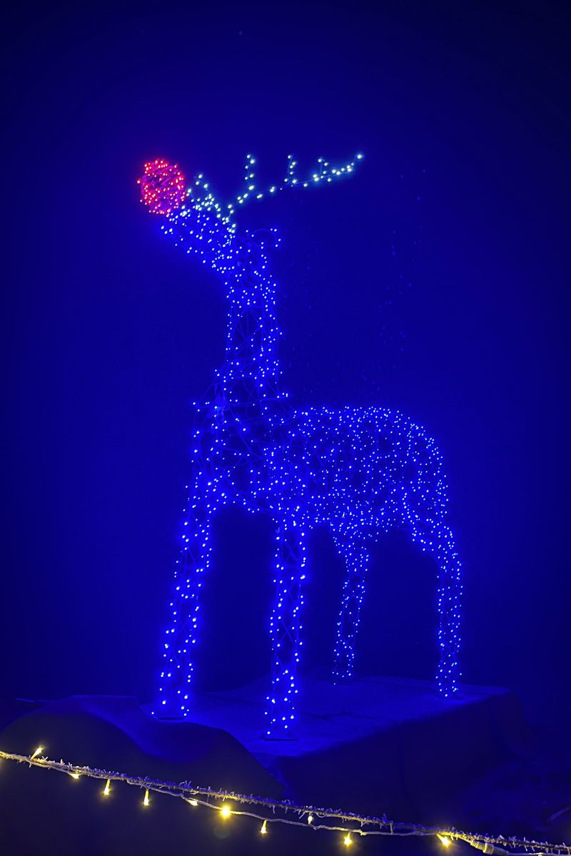 rudolph illumination at Nutley Farm