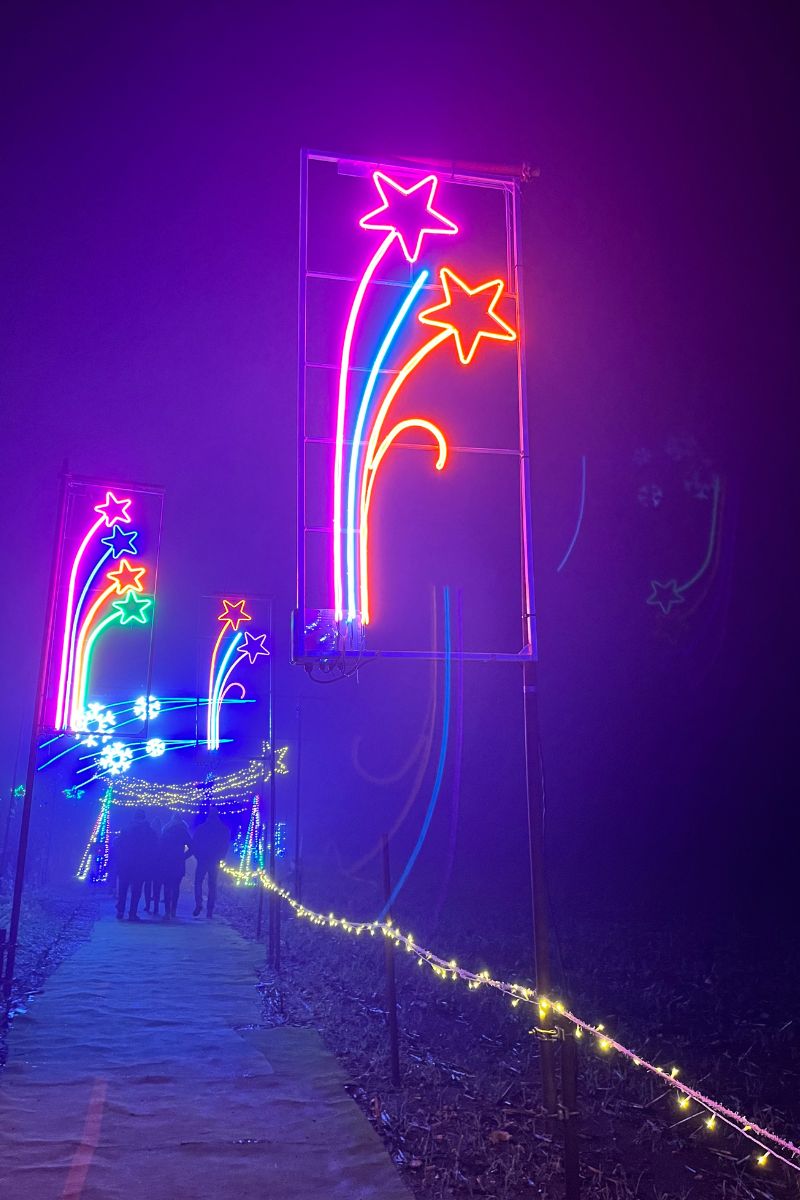 shooting star display at Nutley Farm