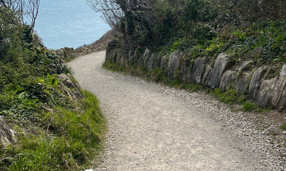 path at durlston country park