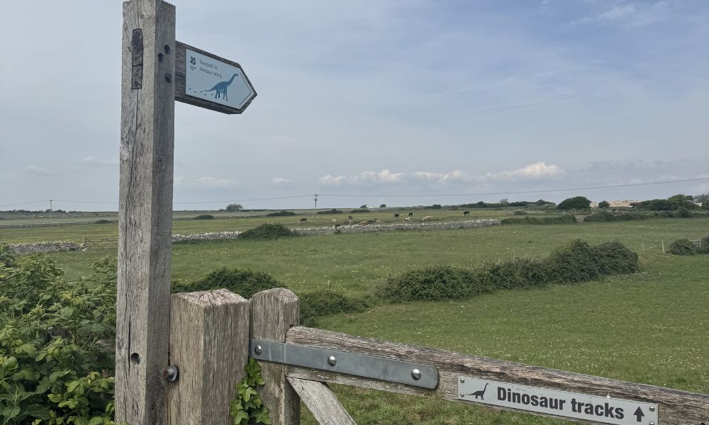 dinosaur footprints Dorset